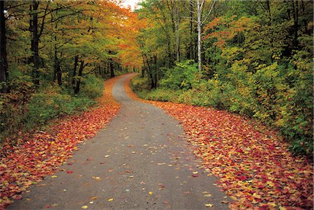 simsearch:859-03194403,k - Autumn Road Stock Photo - Rights-Managed, Code: 859-03194037