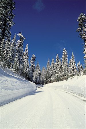 simsearch:859-03194403,k - Winter Road Stock Photo - Rights-Managed, Code: 859-03194056