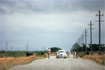 Country Road Stock Photo - Rights-Managed, Code: 859-03194383