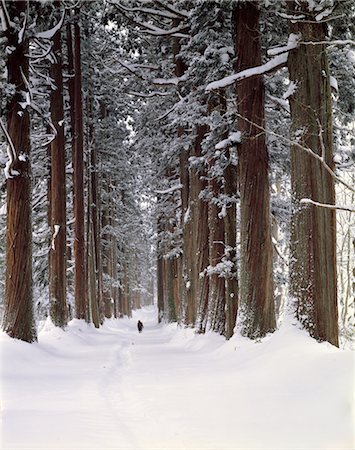 simsearch:859-03194403,k - Winter Trail Stock Photo - Rights-Managed, Code: 859-03194396