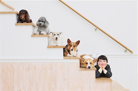 A Boy And Dogs On Stairs Stock Photo - Rights-Managed, Code: 859-03599495