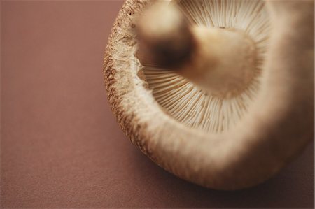 shiitak - Shitake Stock Photo - Rights-Managed, Code: 859-03600850