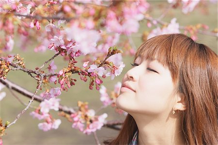 Woman Smelling Cherry Blossoms Stock Photo - Rights-Managed, Code: 859-03730544