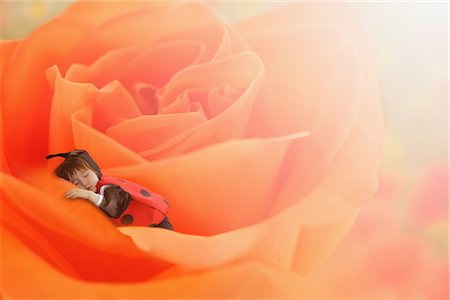 roses border - Boy Dressed as Ladybug Sleeping on Rose Flower Bed Stock Photo - Rights-Managed, Code: 859-03781981