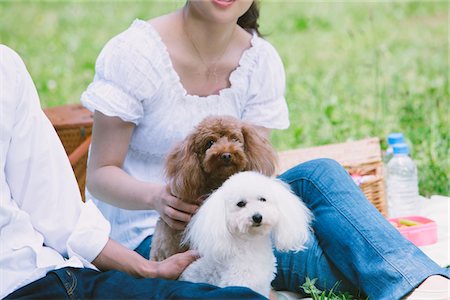 puppy leash images - Couple Enjoying with Pets Stock Photo - Rights-Managed, Code: 859-03782042