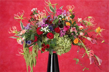 Flower Arrangement Stock Photo - Rights-Managed, Code: 859-03884546