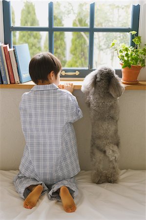 Boy With His Pet Standing By Window Stock Photo - Rights-Managed, Code: 859-03884868