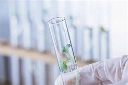 simsearch:6118-07354031,k - Seedling In Test Tube Stock Photo - Rights-Managed, Code: 859-03982314