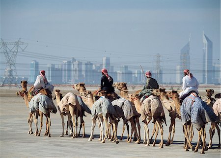 Camel hearders,Shaikh Zayed Road,Dubai,UAE Stock Photo - Rights-Managed, Code: 851-02959502