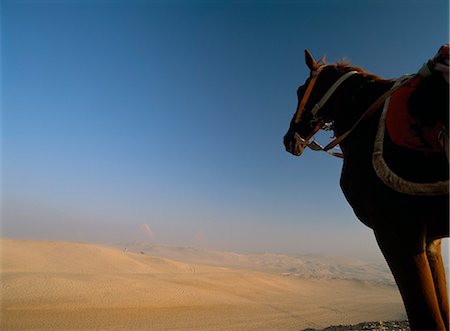 Desert at dawn by the great pyramids,Giza,Cairo,Egypt Stock Photo - Rights-Managed, Code: 851-02959568