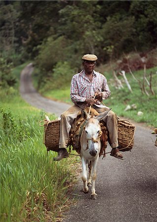 photography jamaica - old man on donkey,Cockpit Country,Jamaica. Stock Photo - Rights-Managed, Code: 851-02960941