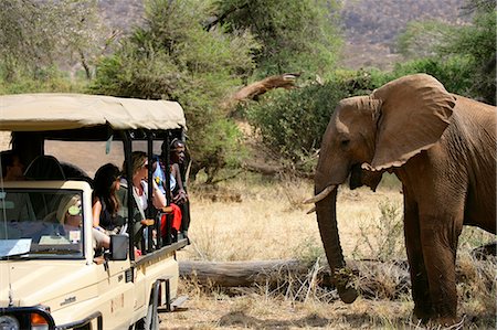 simsearch:841-02918817,k - Tourists viewing elephants on safari,Samburuland,Kenya Foto de stock - Con derechos protegidos, Código: 851-02961273