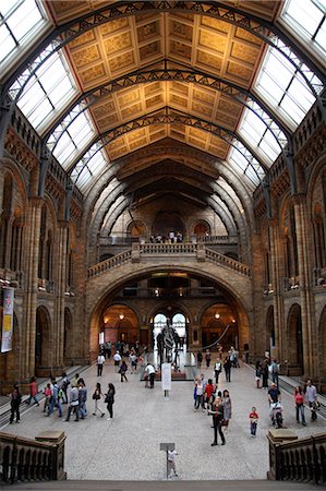 dinosaur - View inside of The Natural History Museum,London,England,UK Stock Photo - Rights-Managed, Code: 851-02961596