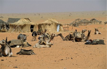 sudan - Desert village scene,Malha N. Darfur,Sudan Stock Photo - Rights-Managed, Code: 851-02962765
