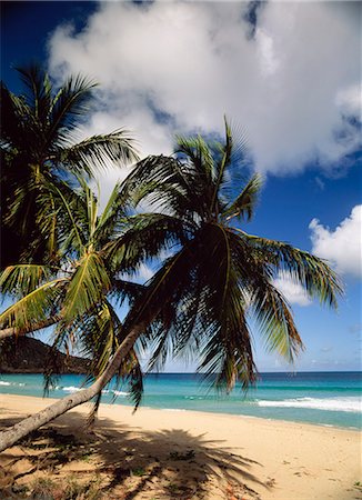 Lambert Bay,Tortola. The British Virgin Islands Stock Photo - Rights-Managed, Code: 851-02963548