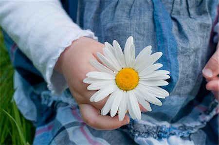 Girl with marguerite Stock Photo - Rights-Managed, Code: 853-05523502