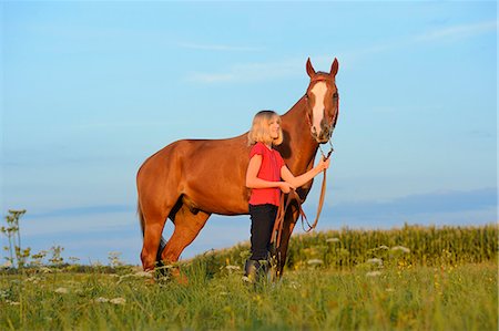simsearch:853-06306120,k - Girl with horse on meadow Stock Photo - Rights-Managed, Code: 853-06306107