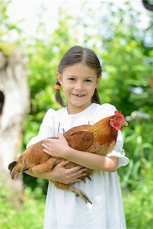 Girl holding a chicken Photographie de stock - Rights-Managed, Code: 853-07148584