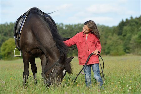 people with horses - Girl standing with an Arabian Haflinger on a meadow Foto de stock - Con derechos protegidos, Código: 853-07241828