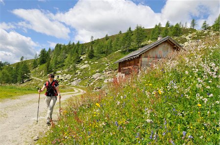 person hiking, Trentino Alto Adige italy Foto de stock - Direito Controlado, Número: 853-02914131
