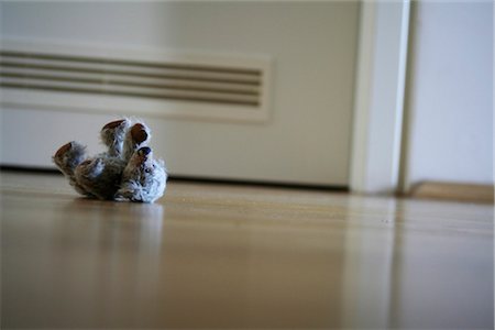 teddy bear lying on a floor Stock Photo - Rights-Managed, Code: 853-02914505