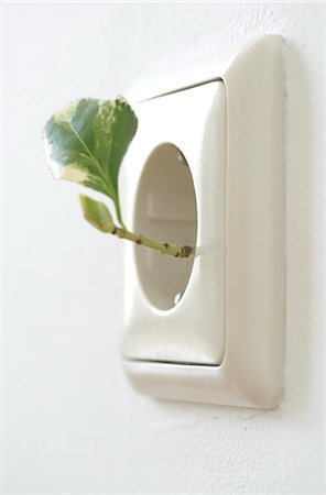 simsearch:853-02914712,k - leaf coming out of a socket, close-up Stock Photo - Rights-Managed, Code: 853-02914713