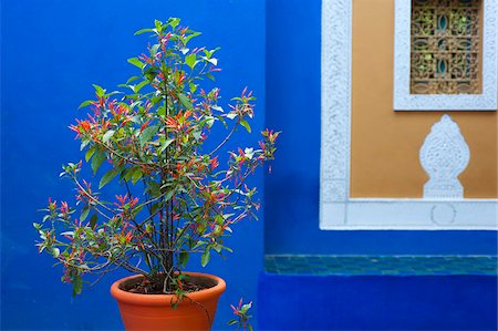 The Majorelle Garden is a botanical garden in Marrakech, Morocco. Stock Photo - Rights-Managed, Code: 862-05998707