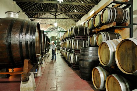 Venancio da Costa Lima wine cellars. Quinta do Anjo, Portugal Stock Photo - Rights-Managed, Code: 862-05998831