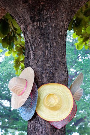 Thailand, Ayutthaya, Wat Chai Watthanaram, Hats hanging from tree Stock Photo - Rights-Managed, Code: 862-05999523