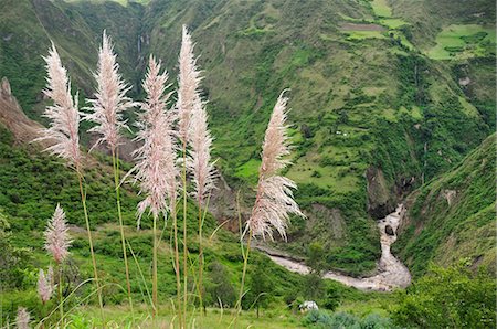 Canyon north of Pasto, Colombia, South America Stock Photo - Rights-Managed, Code: 862-06541106