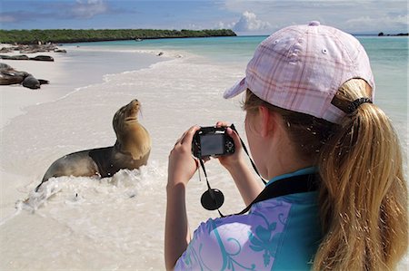 Girl photographing sea lion, Gardner Bay, Espanola, Galapagos Islands, Ecuador Stock Photo - Rights-Managed, Code: 862-06541271