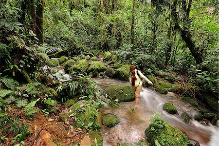 rainforest - Wading across a creek at Parque Nacional de Amistad near Boquete, Panama, Central America. Foto de stock - Con derechos protegidos, Código: 862-06542645