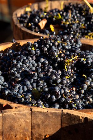 Bodega Lopez de Heria wine cellar in the village of Haro, La Rioja, Spain, Europe Stock Photo - Rights-Managed, Code: 862-06542894