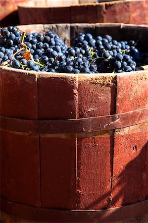 Bodega Lopez de Heria wine cellar in the village of Haro, La Rioja, Spain, Europe Photographie de stock - Rights-Managed, Code: 862-06542910