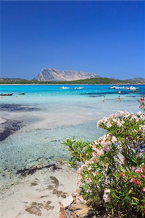 Olbia Tempio district, Area Marina Protetta Tavolara Punta Coda Cavallo, Lu impostu beach. Stock Photo - Rights-Managed, Code: 862-06676981