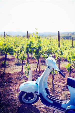 Italy, Umbria, Perugia district, Montefalco. Vespa scooter in Vineyard. Stock Photo - Rights-Managed, Code: 862-06677147