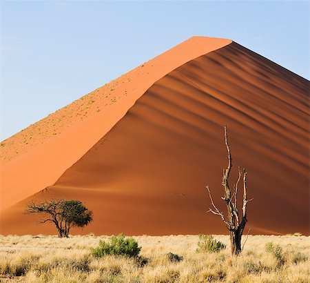 Red sand dunes in the Namib Naukluft National Park, Namibia, Africa Stock Photo - Rights-Managed, Code: 862-06677167