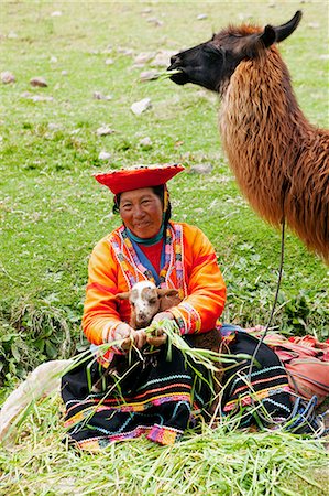 South America, Peru, Cusco. A Quechua woman with a llama in traditional dress   wearing a montera hat, a pollera skirt made from bayeta weave wear, with a Keperina carrying cloth on the ground next to her near the UNESCO World Heritage listed former Inca capital of Cusco Stock Photo - Rights-Managed, Code: 862-06677266