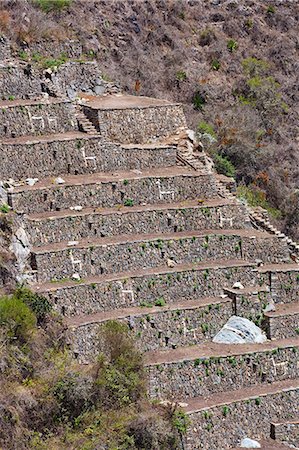 simsearch:862-06677365,k - South America, Peru, Cusco, Choquequirao. The white llama terraces at the Inca city of Choquequirao built by Tupac Inca Yupanqui and Huayna Capac and situated above the Apurimac valley with mountains of the Salkantay range Stock Photo - Rights-Managed, Code: 862-06677415