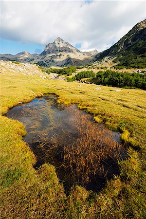 simsearch:862-06825141,k - Europe, Bulgaria, Pirin National Park near Bansko, Unesco World Heritage Site Stock Photo - Rights-Managed, Code: 862-06825017
