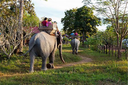 elephas maximus - Laos, Ban Khiet Ngong. Tourists enjoying an elephant ride out from the village of Ban Khiet Ngong. Stock Photo - Rights-Managed, Code: 862-06826027