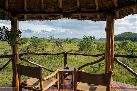 Kenya, Kajiado County, Maasai Wilderness Conservancy, Campi ya Kanzi. Maasai giraffes move in front of the thatched veranda of a luxury tent. Stock Photo - Rights-Managed, Code: 862-07495961