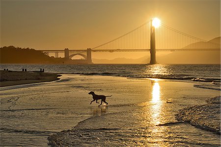 sun dogs - Golden Gate Bridge, San Francisco, USA Foto de stock - Con derechos protegidos, Código: 862-07496330