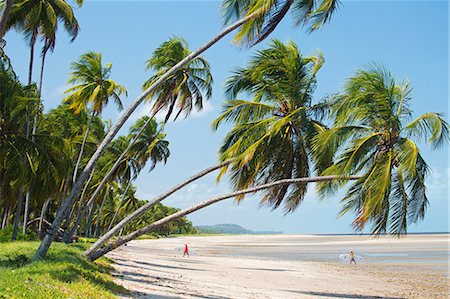 South America, Brazil, Alagoas, Praia do Patacho, surfers walking in from the sea MR Stock Photo - Rights-Managed, Code: 862-07689834