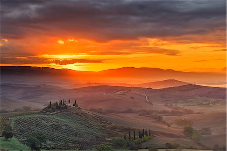 simsearch:862-07690164,k - Italy, Tuscany, Siena district, Orcia Valley, Podere Belvedere near San Quirico d'Orcia. Stock Photo - Rights-Managed, Code: 862-07690172