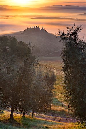 simsearch:862-07690164,k - Italy, Tuscany, Siena district, Orcia Valley, Podere Belvedere near San Quirico d'Orcia. Stock Photo - Rights-Managed, Code: 862-07690208