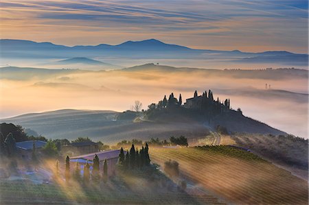 simsearch:862-07690164,k - Italy, Tuscany, Siena district, Orcia Valley, Podere Belvedere near San Quirico d'Orcia. Stock Photo - Rights-Managed, Code: 862-07690209