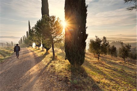 simsearch:862-07690164,k - Italy, Tuscany, Siena district, Orcia Valley. Man walks in a countryroad near San Quirico d'Orcia. (MR) Stock Photo - Rights-Managed, Code: 862-07690210