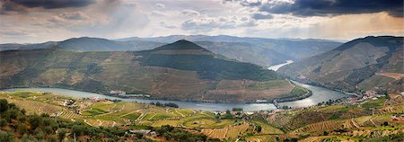 simsearch:862-07689809,k - Terraced vineyards along the Douro river and Pinhao. Alto Douro, a Unesco World Heritage Site, Portugal Foto de stock - Con derechos protegidos, Código: 862-07690677