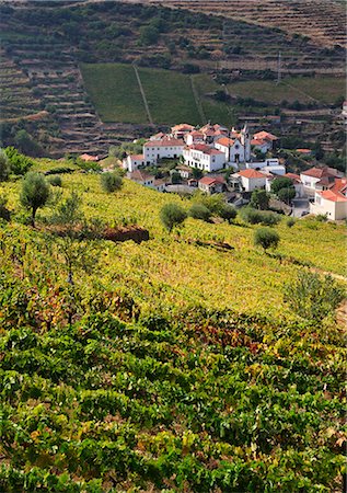 simsearch:862-07689809,k - Vineyards in Vilarinho dos Freires, Santa Marta de Penaguiao. Alto Douro, a Unesco World Heritage Site. Portugal Foto de stock - Con derechos protegidos, Código: 862-07690671